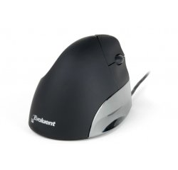 Bakker Elkhuizen Evoluent Standard - souris verticale - USB