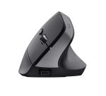 Trust Bayo+ souris Bureau Droitier RF sans fil + Bluetooth Optique 2400 DPI