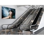 Peerless DS-VW765-LQR montage des affichages de messages 165,1 cm (65") Noir