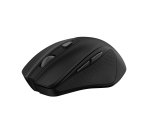 Trust Nito souris Universel Droitier RF sans fil Optique 2200 DPI