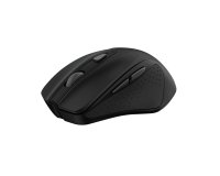 Trust Nito souris Universel Droitier RF sans fil Optique 2200 DPI