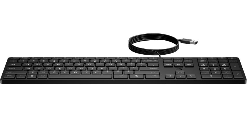 HP Tastiera Wired Desktop 320K