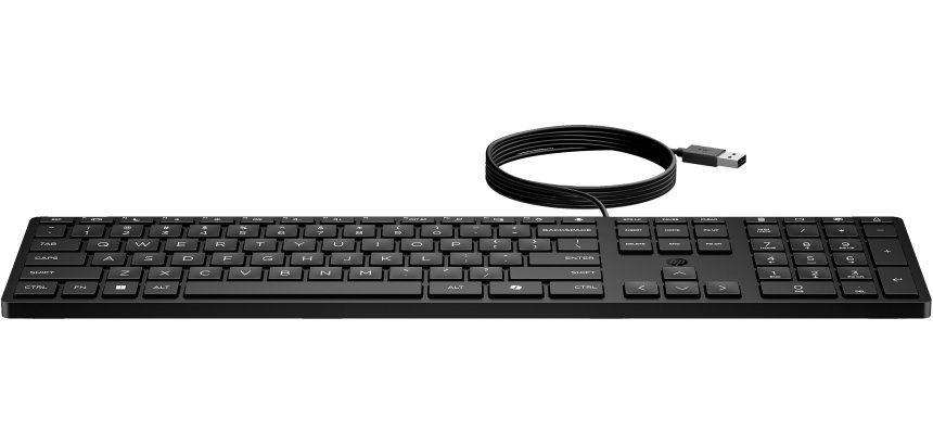 HP Tastiera Wired Desktop 320K