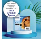 Epson Singlepack Black T0711 DURABrite Ultra Ink