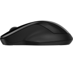 HP Souris double 250