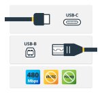 StarTech.com Câble USB-B vers USB-C de 2m, Câble de Transfert de Données, USB 2.0, USB-C