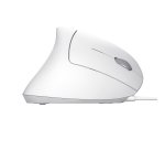 Trust Verto souris Bureau Droitier USB Type-A Optique 1600 DPI