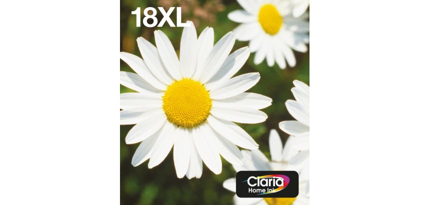 Epson Daisy Multipack EasyMail "Pâquerette" 18XL - Encre Claria Home N,C,M,J