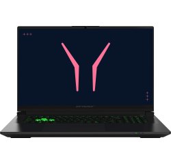 ERAZER Defender 17 P10 (MD600080) Intel® Core™ i9 i9-14900HX Ordinateur portable 43,9 cm (17.3") Quad HD 32 Go DDR5-SDRAM 1 To SSD NVIDIA GeForce RTX 5070 Wi-Fi 6E (802.11ax) Windows 11 Home Noir