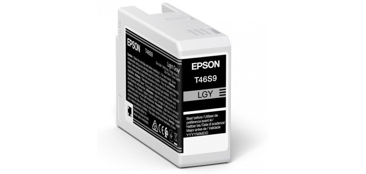Epson UltraChrome Pro cartouche d'encre 1 pièce(s) Original Rendement standard Gris