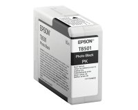 Epson Singlepack Photo Black T850100