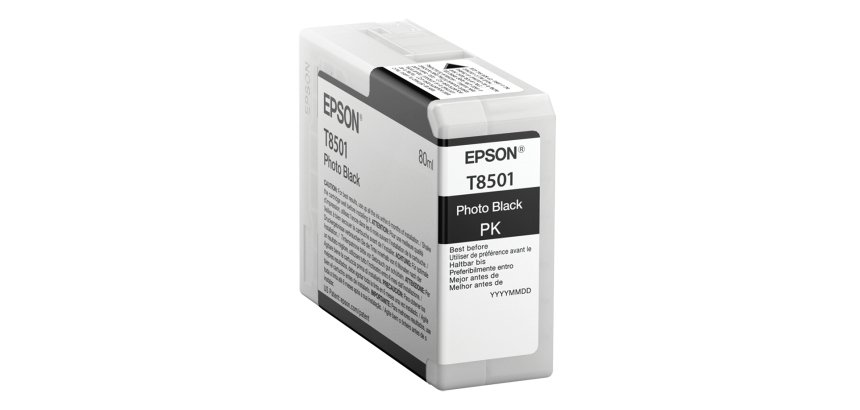 Epson Singlepack Photo Black T850100