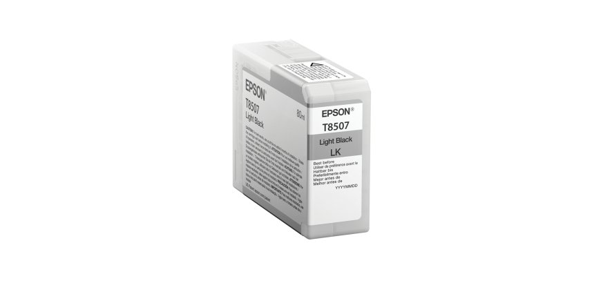 Epson Singlepack Light Black T850700