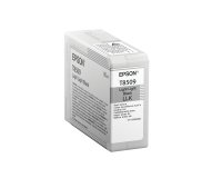 Epson Singlepack Light Light Black T850900