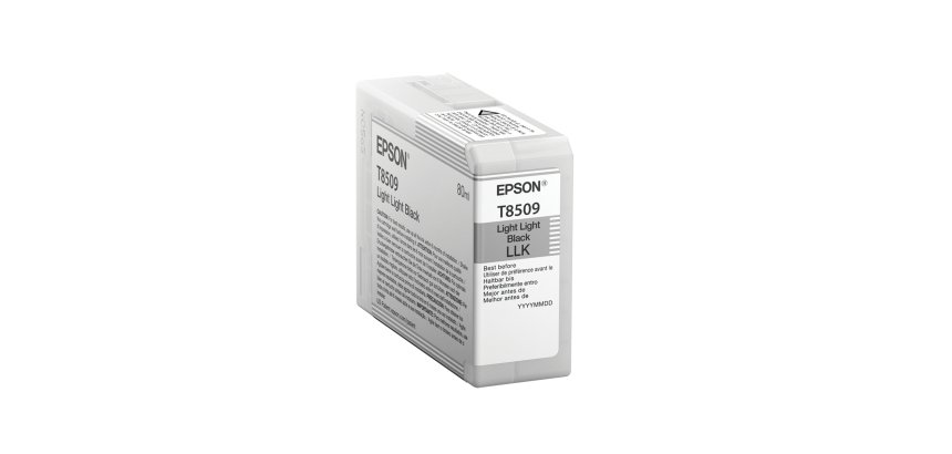 Epson Singlepack Light Light Black T850900