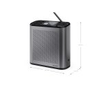 Sharp Digitalradio DR-P530 GR Portatile Digitale