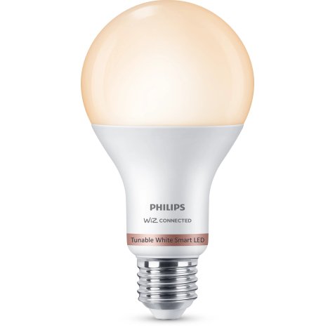Philips Bulb 13W (Eq.100W) A67 E27