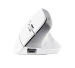 Trust Bayo+ souris Bureau Droitier RF sans fil + Bluetooth Optique 2400 DPI