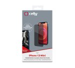 Celly PRIVACYF1006BK protezione per lo schermo e il retro dei telefoni cellulari Pellicola proteggischermo trasparente Apple 1 pz