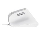 Trust Bayo II souris Bureau Droitier USB Type-A Optique 2400 DPI