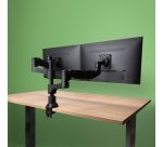 R-Go Tools Bras d'écran R-Go Caparo, pour deux écrans, réglable par vérin à gaz, capacité de charge 3-9 kg, 100% circulaire, noir