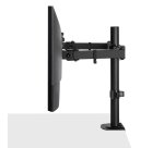 Lindy Support d'écran double fixe et ajustable - Noir