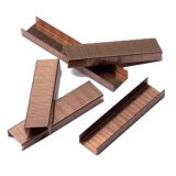 Agrafes Rexel TOT 50 (n°10) - Boîte de 1000