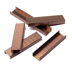 Agrafes Rexel TOT 50 (n°10) - Boîte de 1000