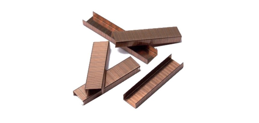 Agrafes Rexel TOT 50 (n°10) - Boîte de 1000