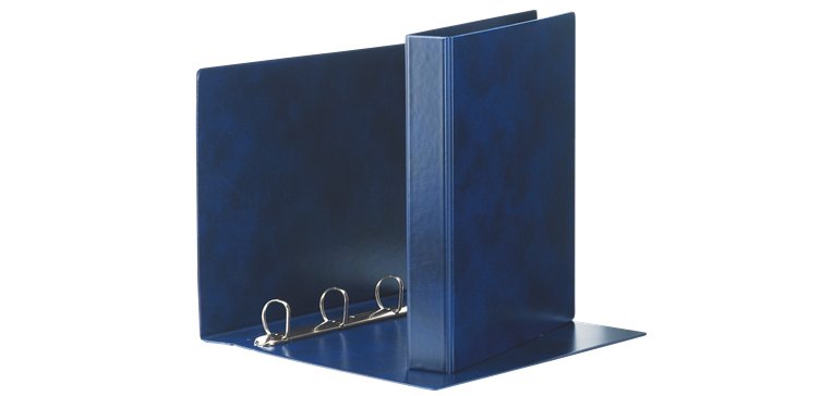 Esselte 390550050 raccoglitore ad anelli 245 x 305 mm Blu