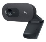 Logitech C505 HD Webcam