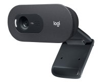 Logitech C505 HD Webcam