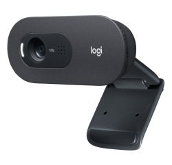Logitech C505 HD Webcam