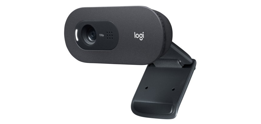 Logitech C505 HD Webcam