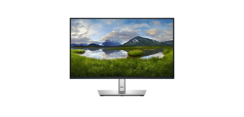 DELL P Series P2225H computer monitor 54.6 cm (21.5") 1920 x 1080 pixels Full HD LCD Black, Silver