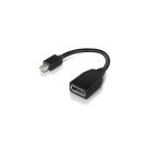 Lenovo 4X90L13971 câble DisplayPort Mini DisplayPort Noir
