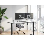 Neomounts FPMA-D1330DSILVER Support d'écran à fixer 10-27"