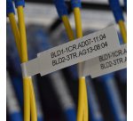 Brother PT-E920BT Etiqueteuse P-touch CUBE Pro avec Bluetooth