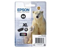 Epson Polar bear Cartuccia Nero-foto xl