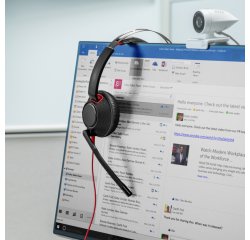 HP Poly Blackwire 5220 Stereo USB-C Headset +3.5mm Plug +USB-C/A Adapter (Bulk)