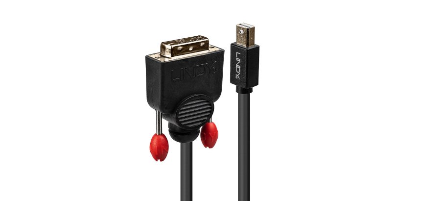 Lindy Câble adaptateur mini-port d'affichage vers DVI de 3 m