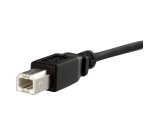 StarTech.com Câble USB 30 cm monté sur panneau B vers B - F/M