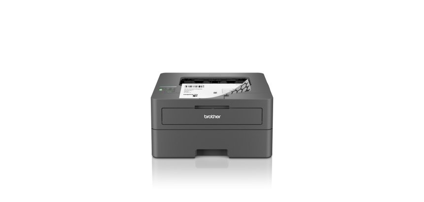 Drucker mit WLAN-Lasermonochrom Brother HL-L2445DW