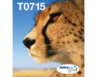 Epson Multipack 4-colours T071 EasyMail