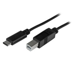 StarTech.com Câble USB-B vers USB-C de 2m, Câble de Transfert de Données, USB 2.0, USB-C