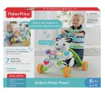 Mattel DLD91 push & pull toy