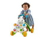 Mattel DLD91 push & pull toy