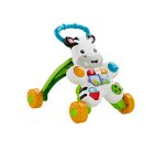 Mattel DLD91 push & pull toy