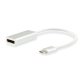 Equip USB Type C to DisplayPort Adapter