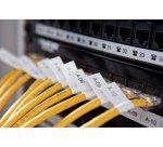 DYMO Etiquetas de Vinilo IND